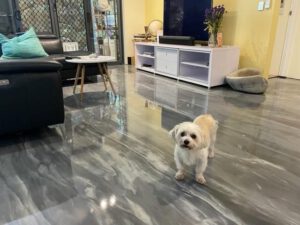 Epoxy Flooring